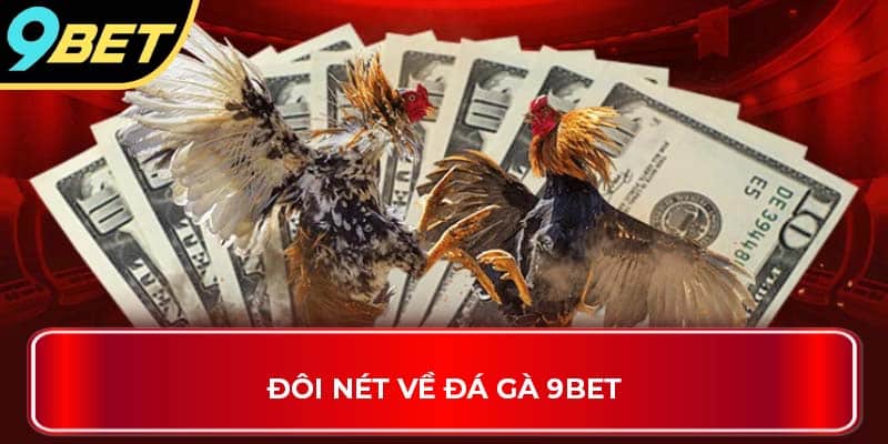 Đôi nét về đá gà 9Bet