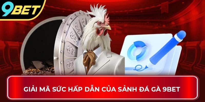Giải mã sức hấp dẫn của sảnh đá gà 9Bet 