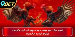 thuoc da ga bip thumb